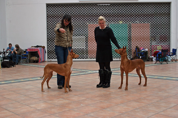 Sally - Holger 29.01.2010