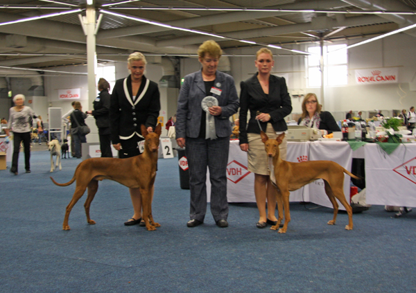 Holger BOB-Sally BOS 09.05.2010 Dortmund Holger BOB-Sally BOS 09.05.2010 Dortmund