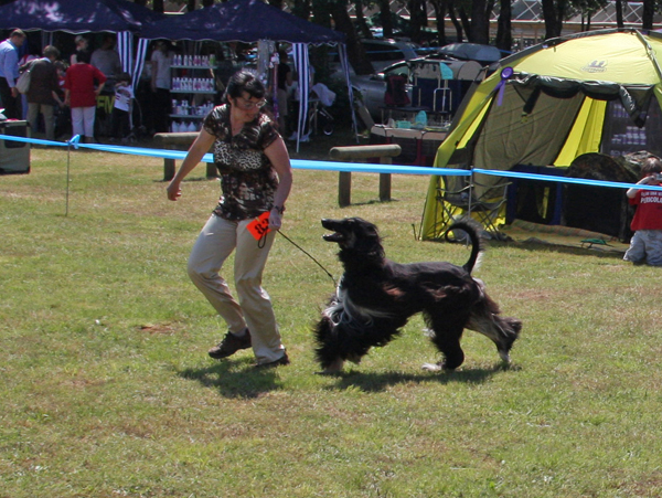 Birikin CACIB UMAG 2010 Birikin CACIB UMAG 2010
