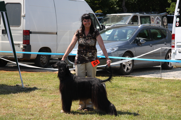 Birikin CACIB UMAG 2010 Birikin CACIB UMAG 2010