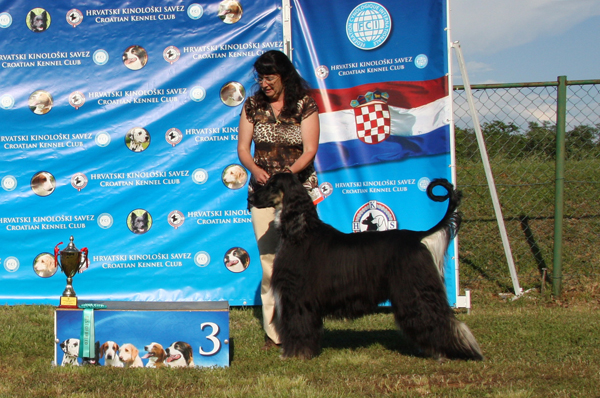 Barakh CACIB UMAG 2010 BOG-3 Barakh CACIB UMAG 2010 BOG-3