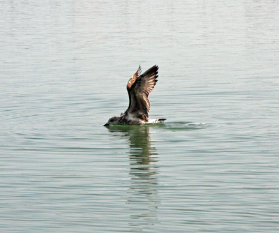 IMG_3309_bearbeitet-2
