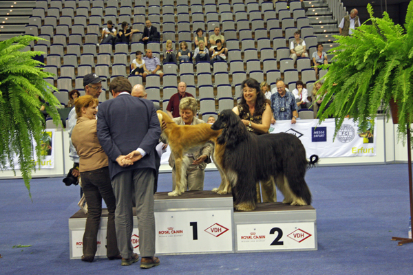 Barakh 12.06.2010; Nat. Dog Show Erfurt Barakh 12.06.2010; Nat. Dog Show Erfurt