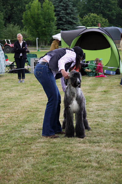 Jaimi 19.06.2010 CAC Show Eilenburg Jaimi 19.06.2010 CAC Show Eilenburg