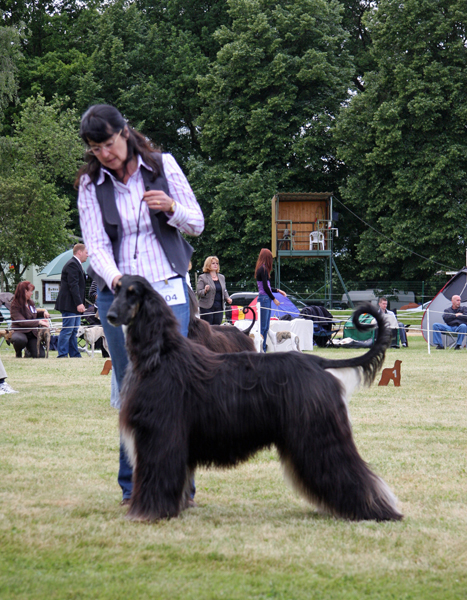 Barakh 19.06.2010 CAC Show Eilenburg Barakh 19.06.2010 CAC Show Eilenburg