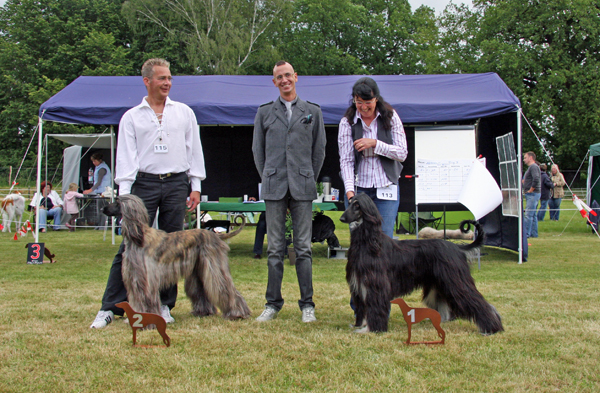 Benasay 19.06.2010 CAC Show Eilenburg Benasay 19.06.2010 CAC Show Eilenburg
