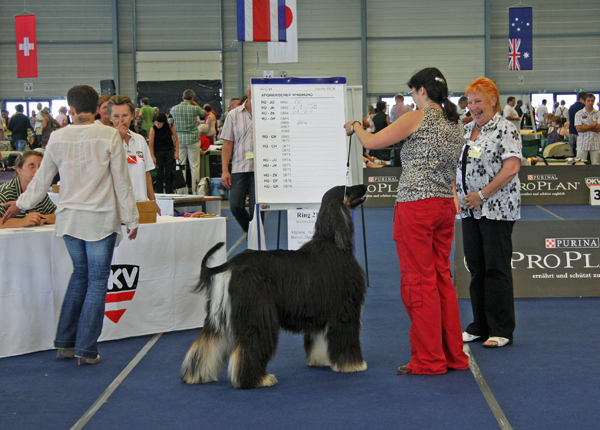 IMG_4361_bearbeitet-2 IMG_4361_bearbeitet-2