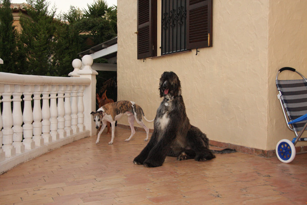 Blissi & Jaimi 09/2010