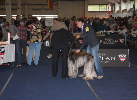 Winner-DOG-Tulln 25.09.2010 Winner-DOG-Tulln 25.09.2010
