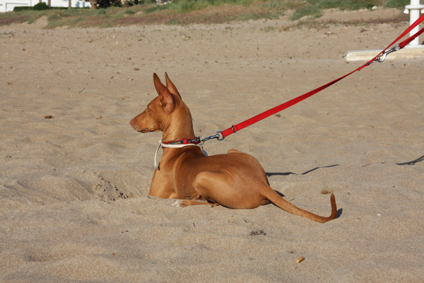 Sally on the beach in Spain