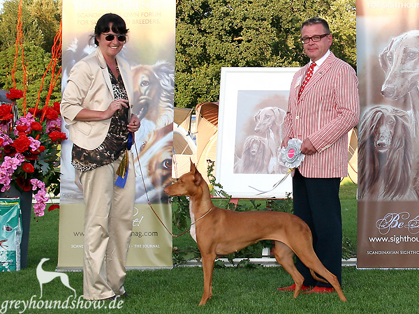 pharao_hound_bob_day1_web pharao_hound_bob_day1_web