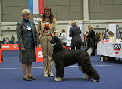 Bahir-e-Shah-BJS-Tulln-2008