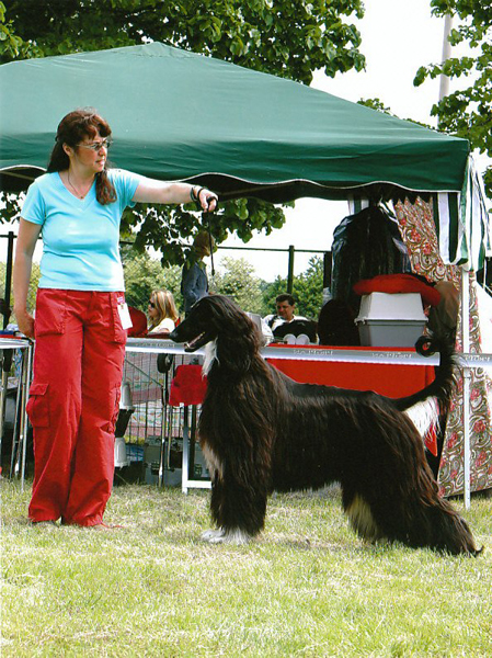 Bahir CACIB UMAG 09.05.2009