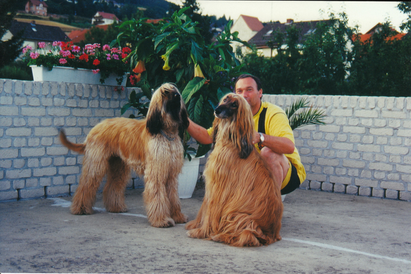 Antaris rechts 8 Jahre alt