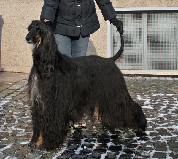 Sari Februar 2009