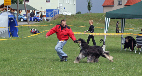 IMG_0045_bearbeitet-1
