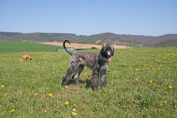 Jaimi 25.04.2010