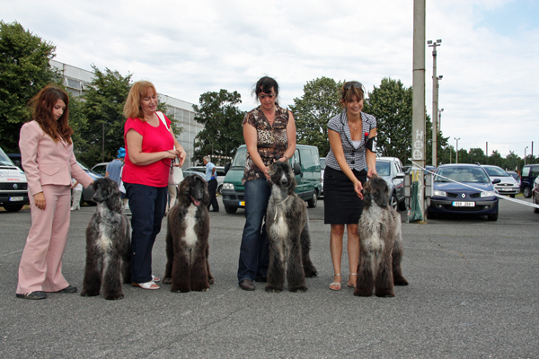 Jaimi & littersisters