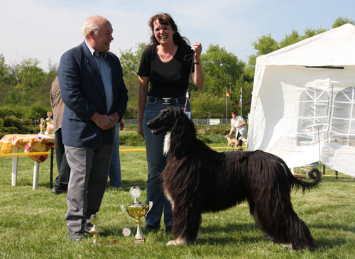Bahir-BIS-CAC-Greppin-25.04.2009