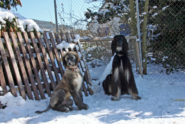 Jaimi & Birikin 07.03.2010