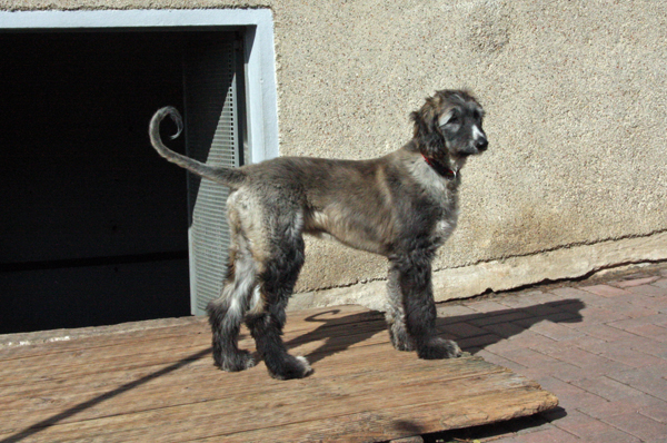 Jaimi 10.03.2010