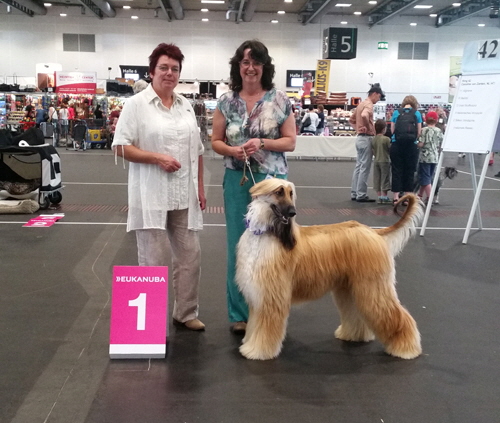 IDS Bremen CH. Darrion-Djabrail of Suriya Ex 1, VDH, CAC, CACIB & BOB IDS Bremen CH. Darrion-Djabrail of Suriya Ex 1, VDH, CAC, CACIB & BOB