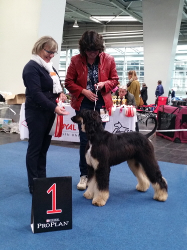 20161030_131604(0) Kopie_bearbeitet-2 Kopie 20161030_131604(0) Kopie_bearbeitet-2 Kopie