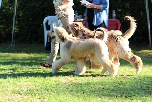 1. Place Couple class Emilia  Egyption