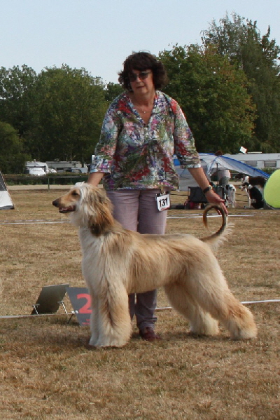 Emilia Hildesheim 2018 V 1 & LJS_bearbeitet-1