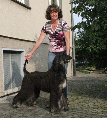 IMG_0038_bearbeitet-2 Kopie