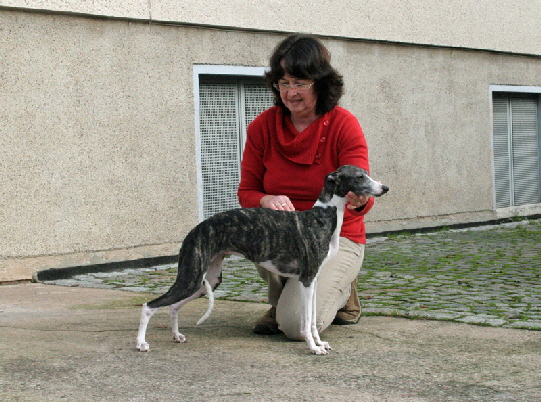 "Sissi"  Life-In-Paris Du Tadjoura