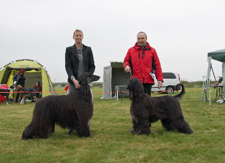 BOB Bahir & Blacky BOS Greppin 2016 BOB Bahir & Blacky BOS Greppin 2016