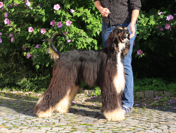 IMG_1853 Kopie