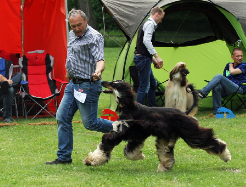 IMG_2122 Kopie1