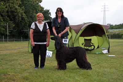 CAC Show Darmstadt Cairo Black Nights of Suriya Ex 1, & BOB CAC Show Darmstadt Cairo Black Nights of Suriya Ex 1, & BOB