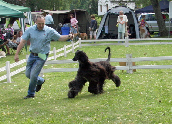Blacky 2